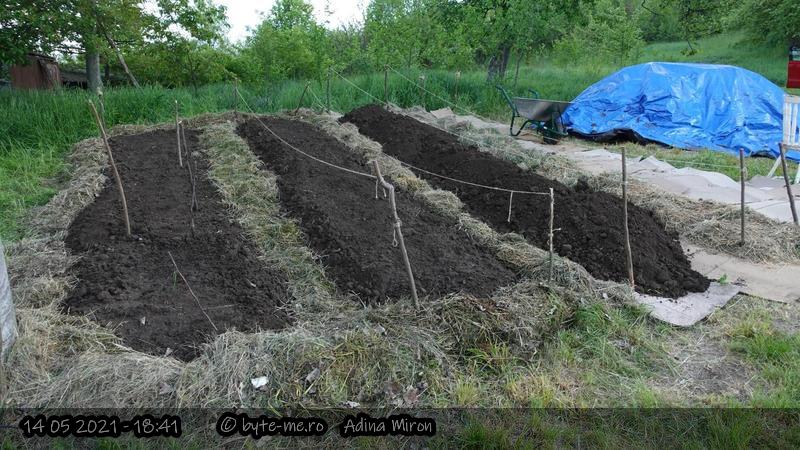 Realizarea straturilor in Gradina Noua 